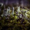 _ br07111-bearbeitet